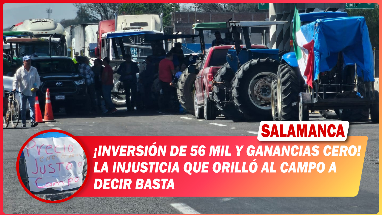 #Salamanca 💥 Inversión de 56 mil y ganancias cero: la injusticia que orilló al campo a decir BASTA