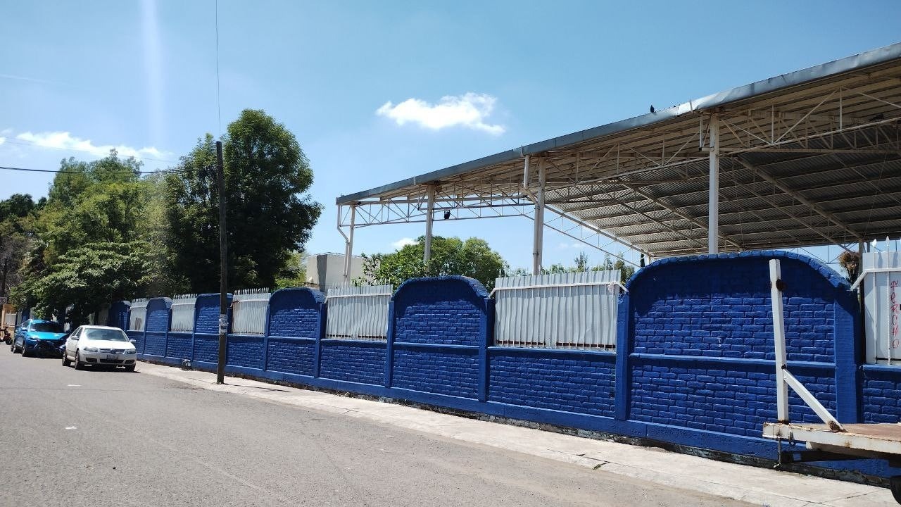 💥 Detectan plaga de chinches 😷 en primaria de Irapuato