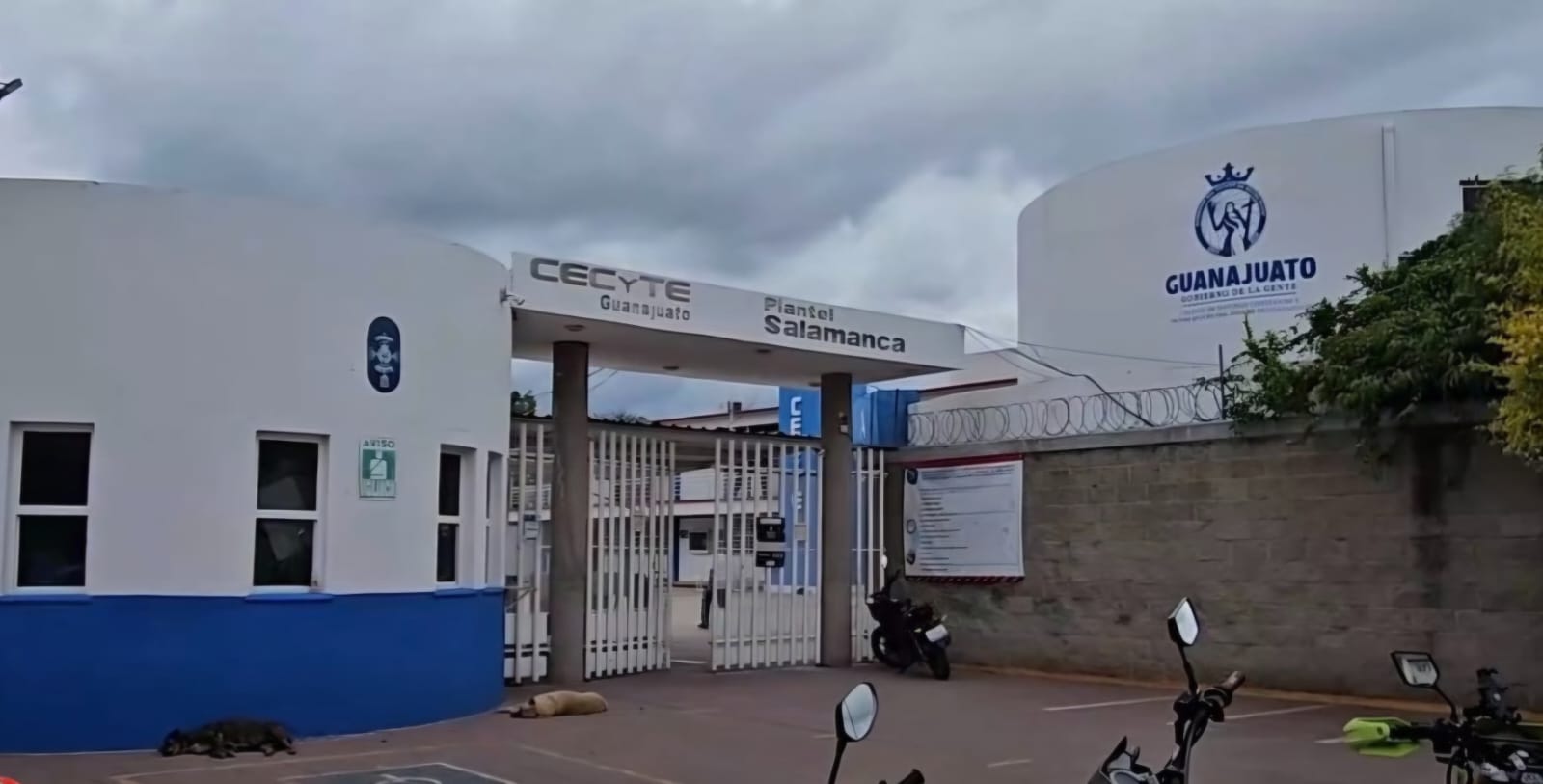 💥 Asaltos no cesan en inmediaciones de CECyTE Salamanca y estrategia de seguridad no cambia