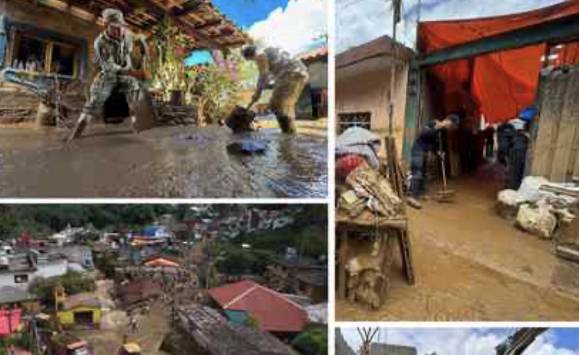 #Biósfera La normalidad de la catástrofe [1]