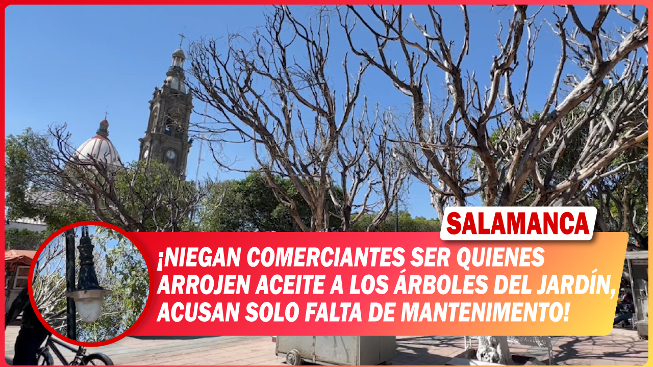 #Salamanca Niegan comerciantes ser quienes arrojen aceite a los árboles del Jardín, acusan solo falta de mantenimiento