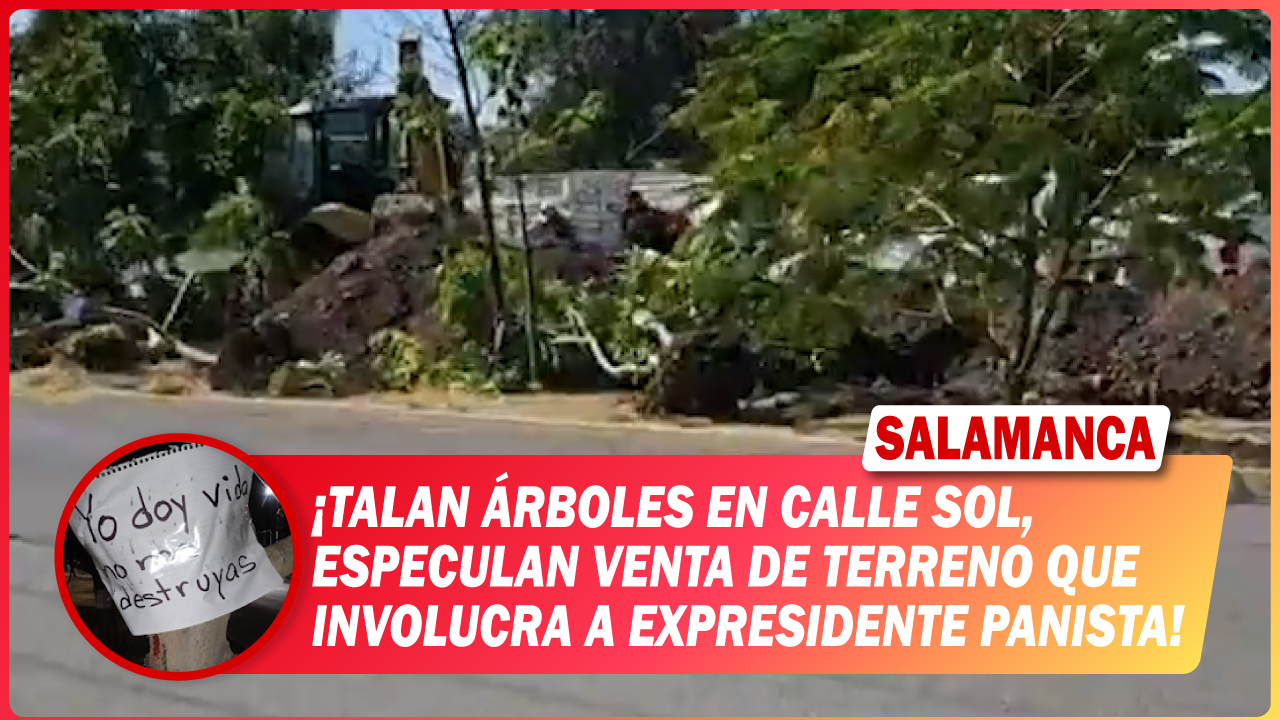 #Salamanca 💥 Talan árboles en calle Sol, especulan venta de terreno que involucra a expresidente panista