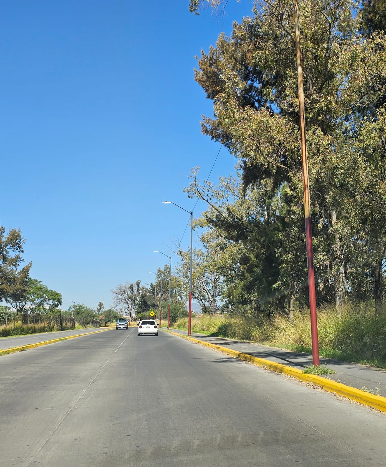 #Salamanca “Postes bicolor”, símbolo del descuido urbano en la zona sur