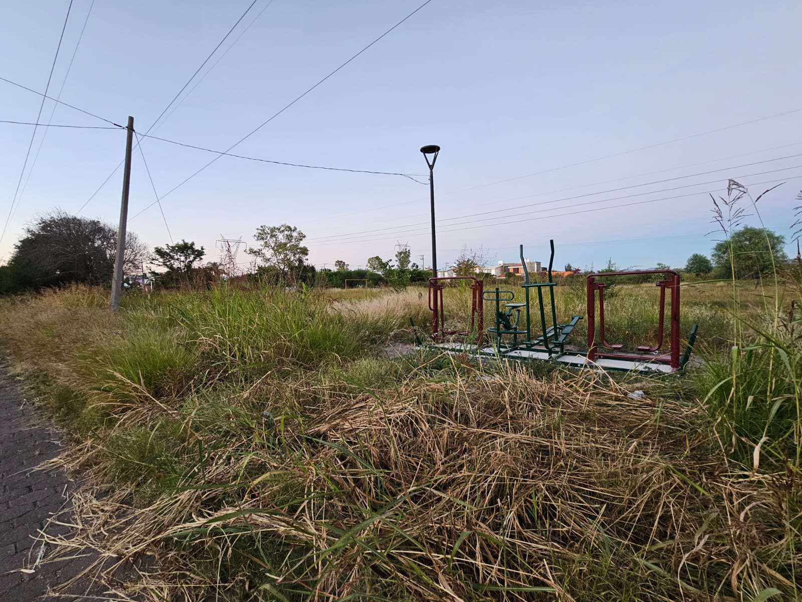💥 “Pusieron ejercitadores ¿y el desbroce?” Residentes de El Vergel señalan acciones “a medias” de Servicios Públicos