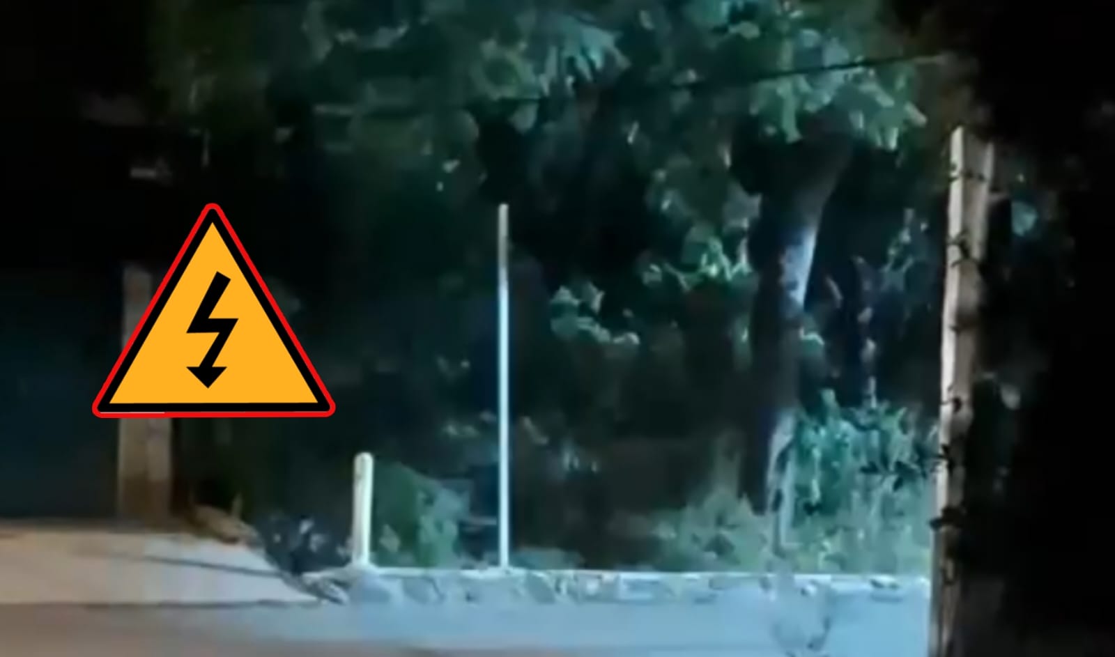 #Salamanca 💥 Cables que chocan entre sí amenazan con incendio en comunidad El Divisador y CFE hace caso omiso