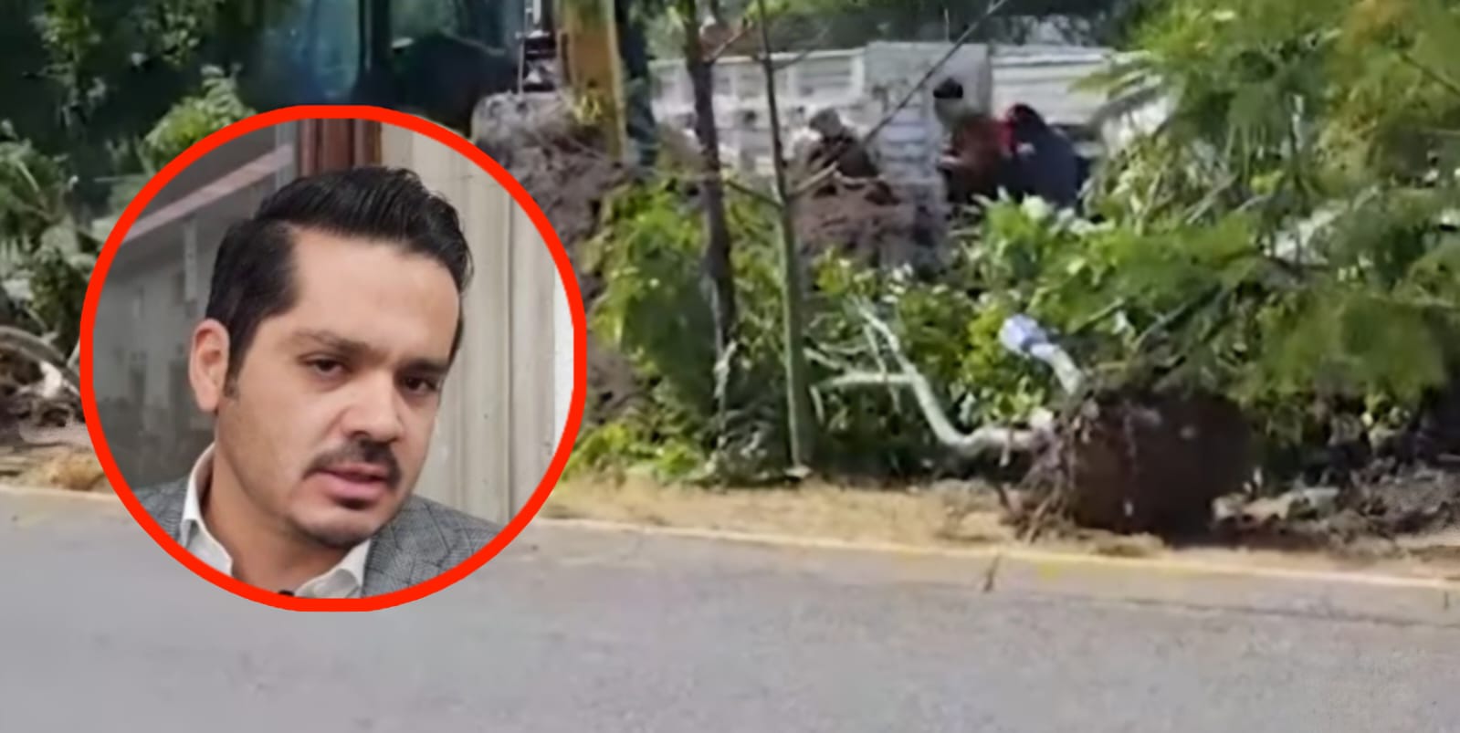 💥 Salmantinos denuncian tala en zona verde. César Prieto se deslinda y apunta a PEMEX