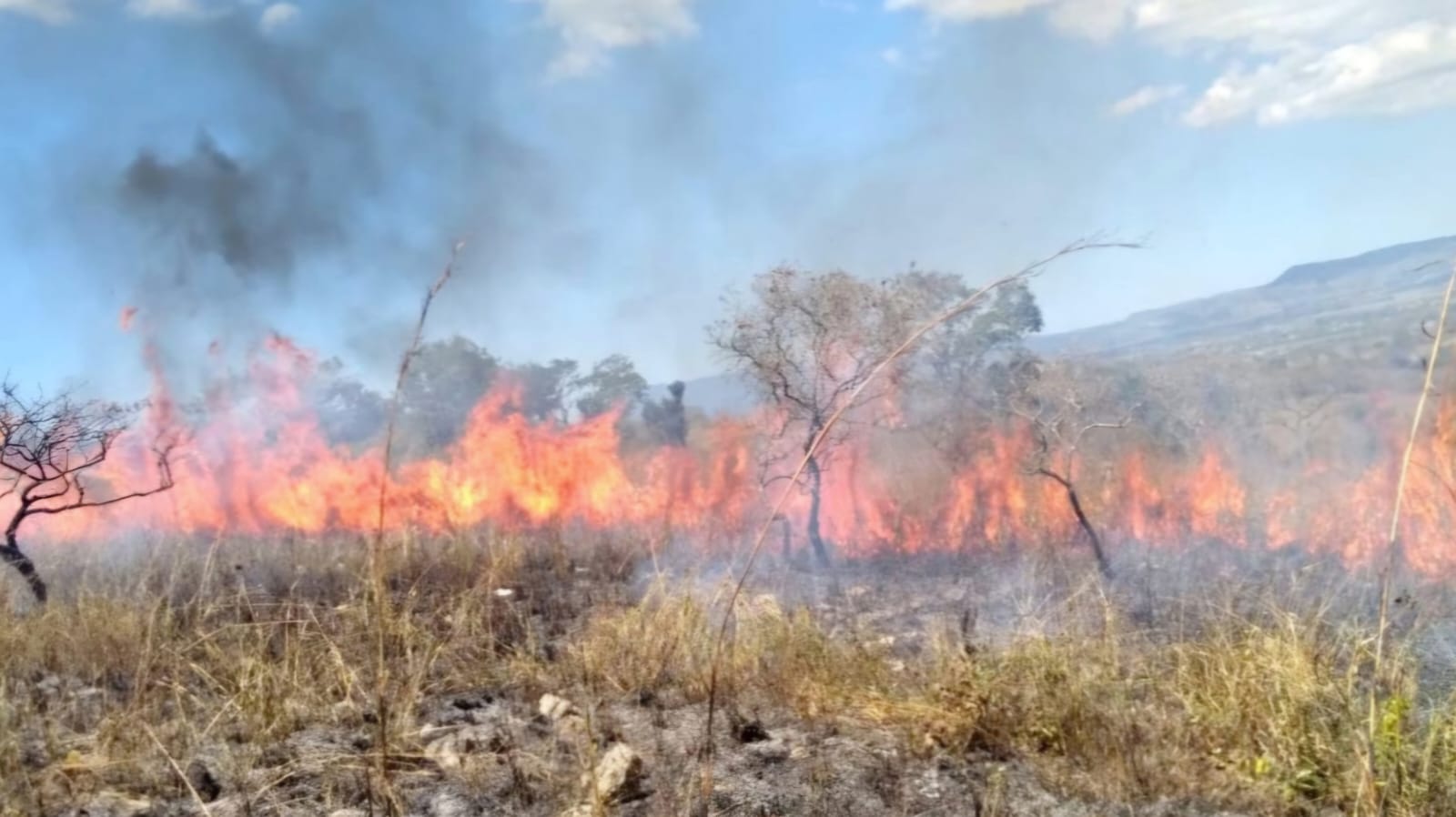 #Salamanca enfrenta un repunte del 40% en incendios de pastizal durante 2025