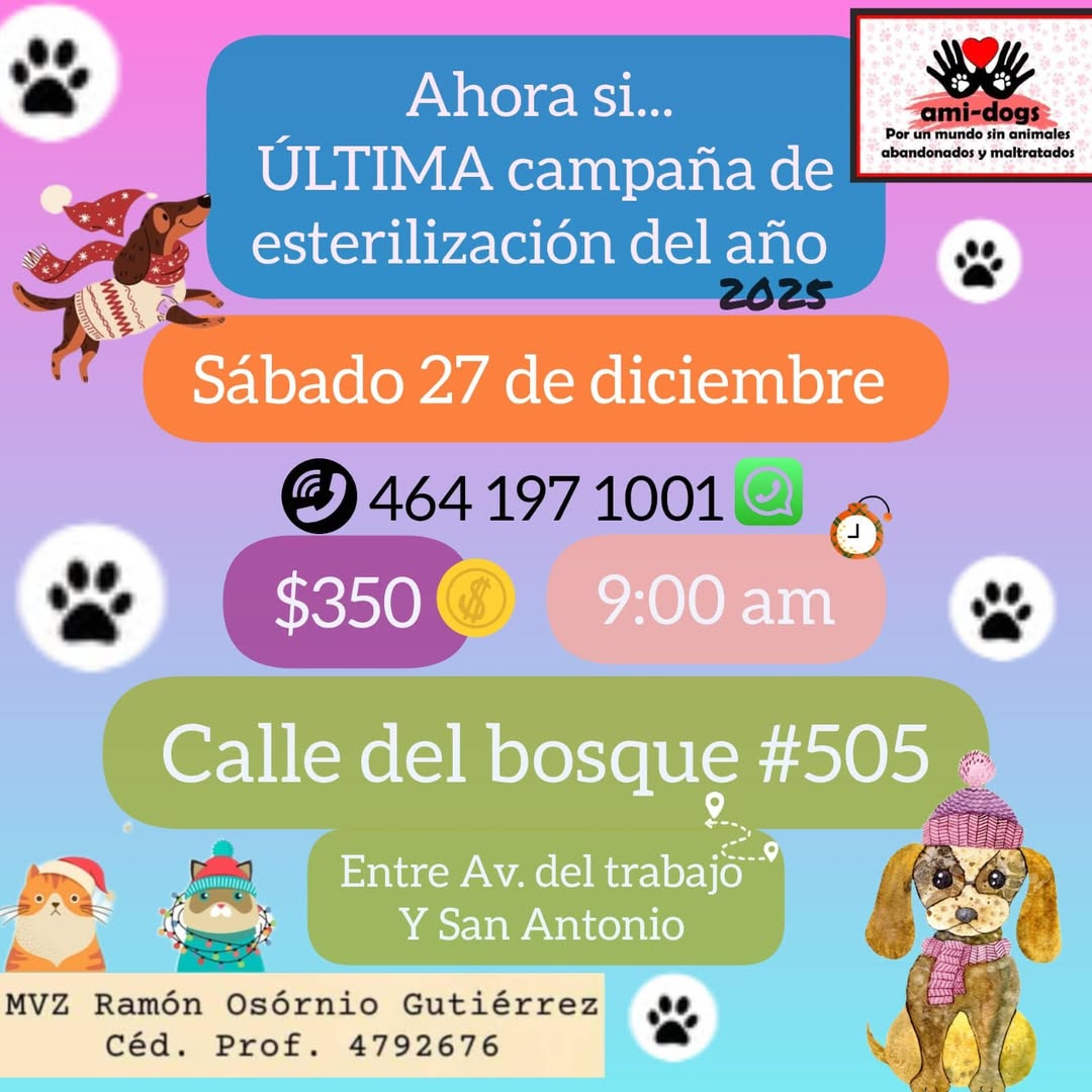#Salamanca Colectivo animalista invita a la última campaña de esterilización del 2025