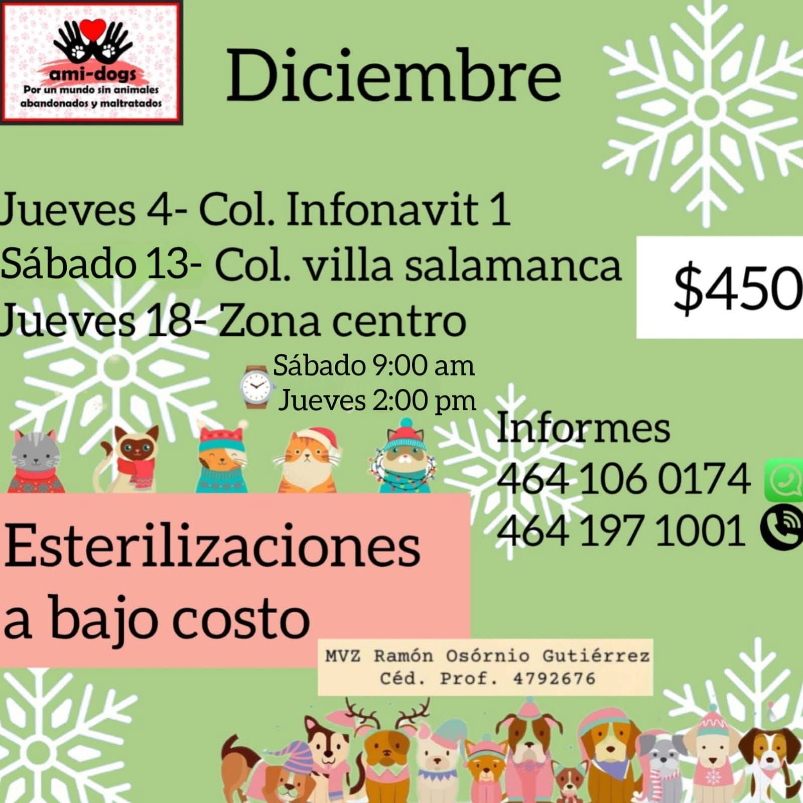 #Salamanca Refugio particular ofrecerá esterilizaciones a bajo costo en este mes de diciembre en colonias Infonavit I, Villa Salamanca 400 y Zona Centro