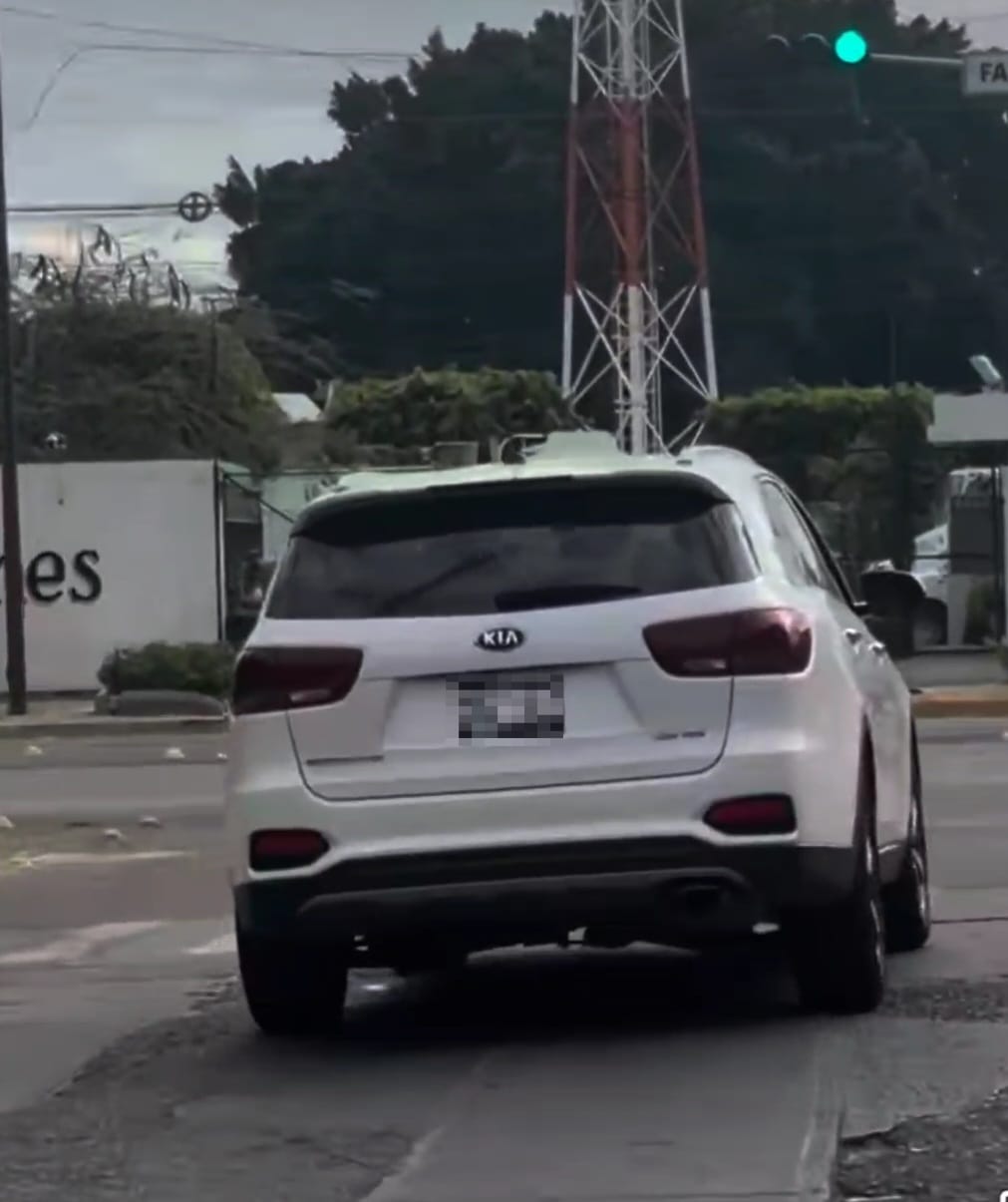 Denuncian a conductora por atropellar a un gato en la colonia Bellavista de #Salamanca
