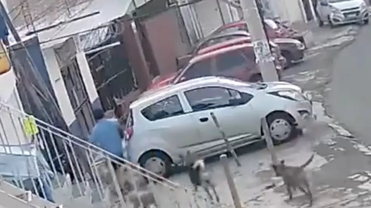 El exfuncionario Gerónimo «N», fue vinculado a proceso por su presunta responsabilidad de la muerte de un gato, en #GuanajuatoCapital