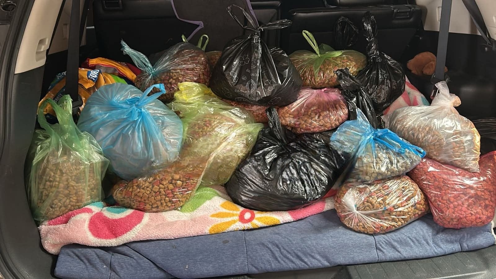 Este sábado, rescatistas salmantinos realizarán el “Adoptón-Croquetón” en el Jardín Principal