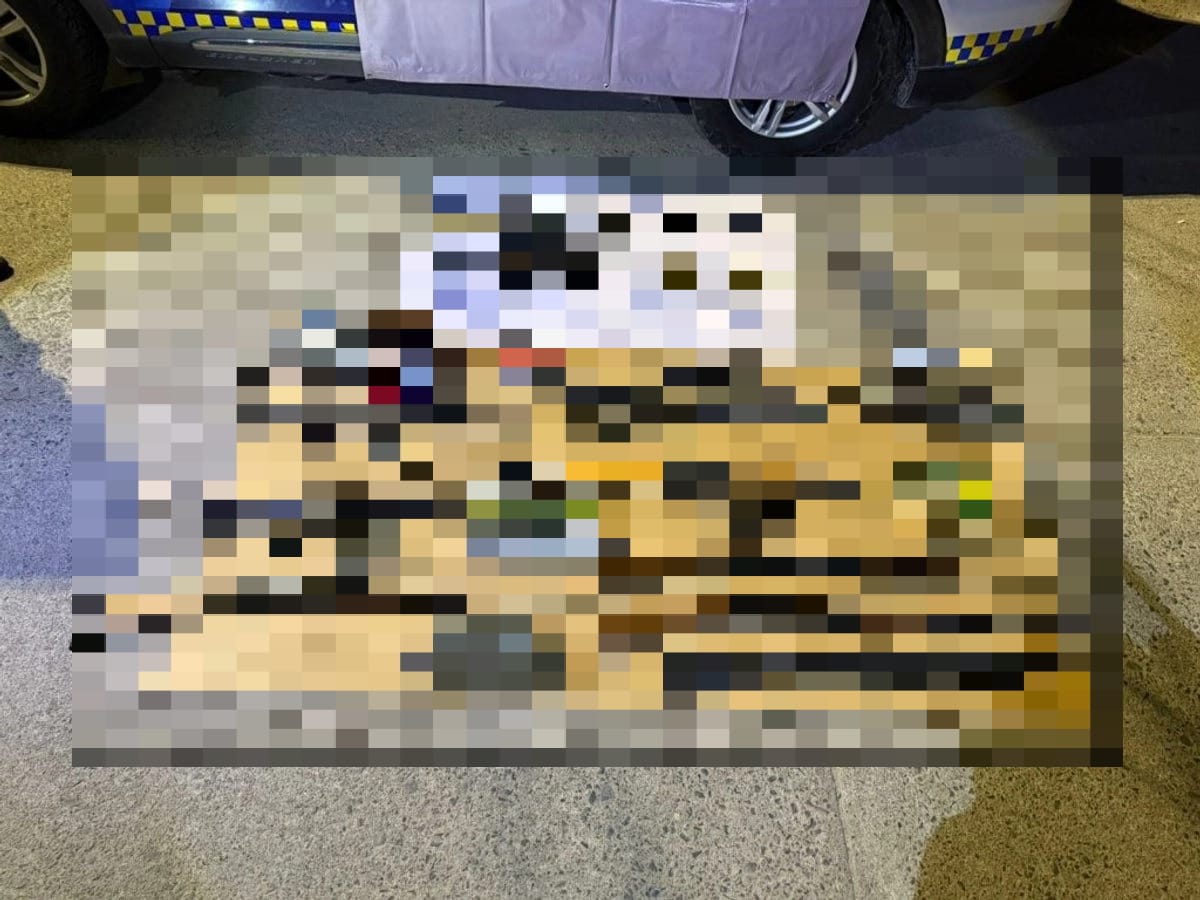 #Salamanca Perro policía detecta arsenal de armas de fuego y droga en empresa de paquetería