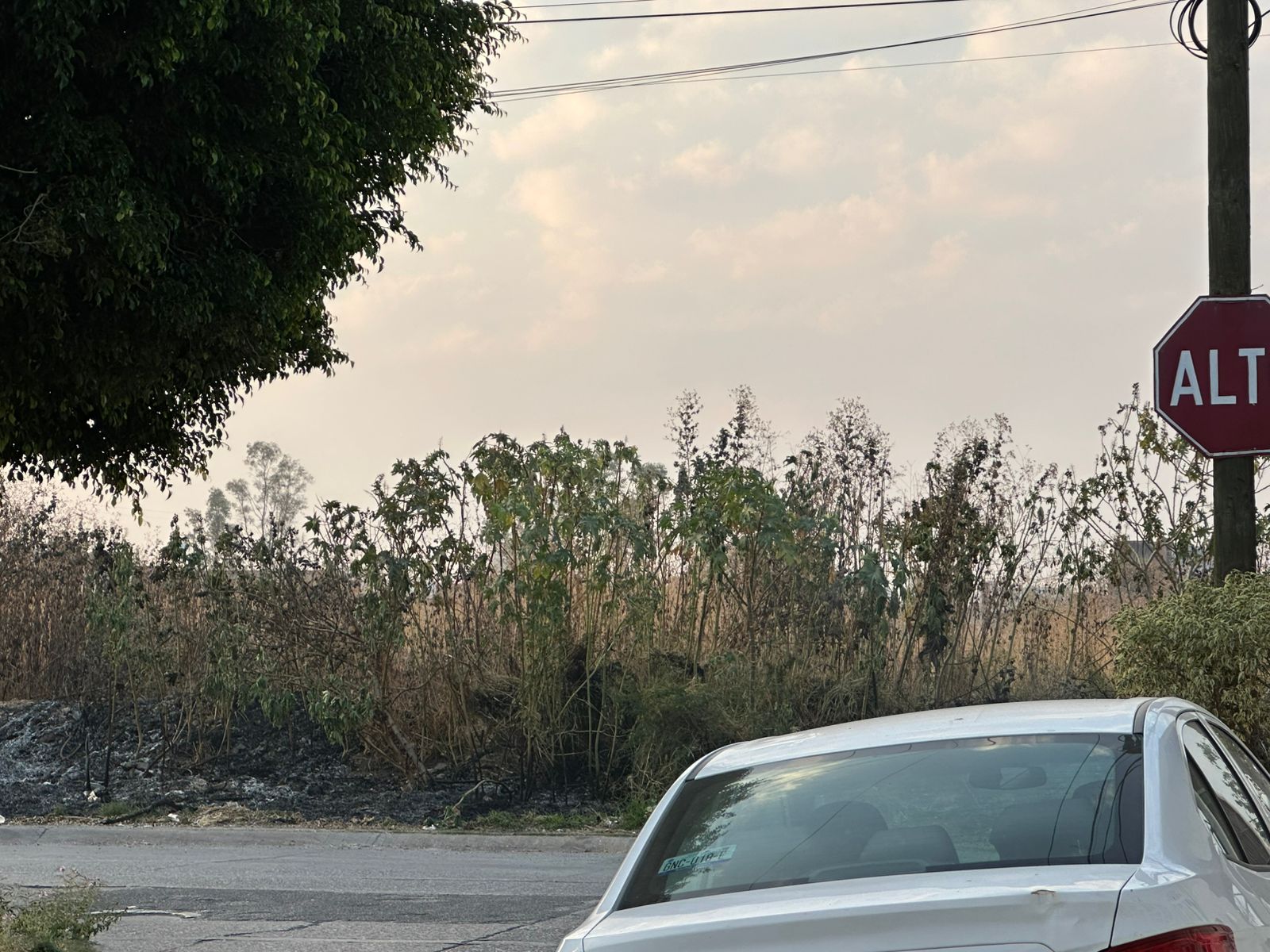 #Salamanca Automovilistas ignoran señal de alto y ponen en riesgo a conductores y peatones en Leona Vicario