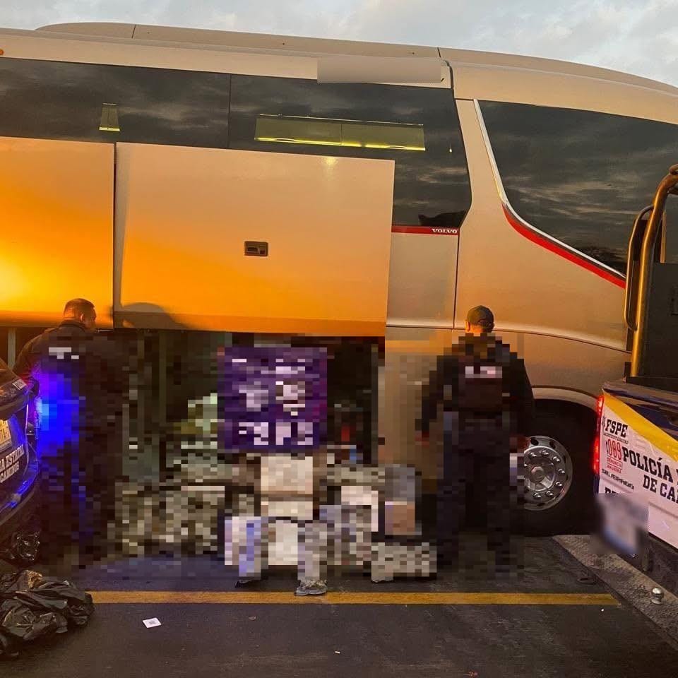 #Salamanca Policías descubren gran cargamento de mariguana en autobús Primera Plus sobre la autopista Morelia–Valtierrilla