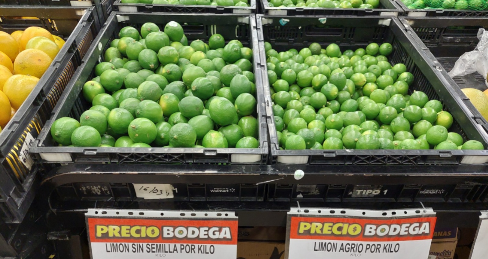 Se dispara el precio del limón en Salamanca y Guanajuato, alcanza hasta 45 pesos por kilogramo