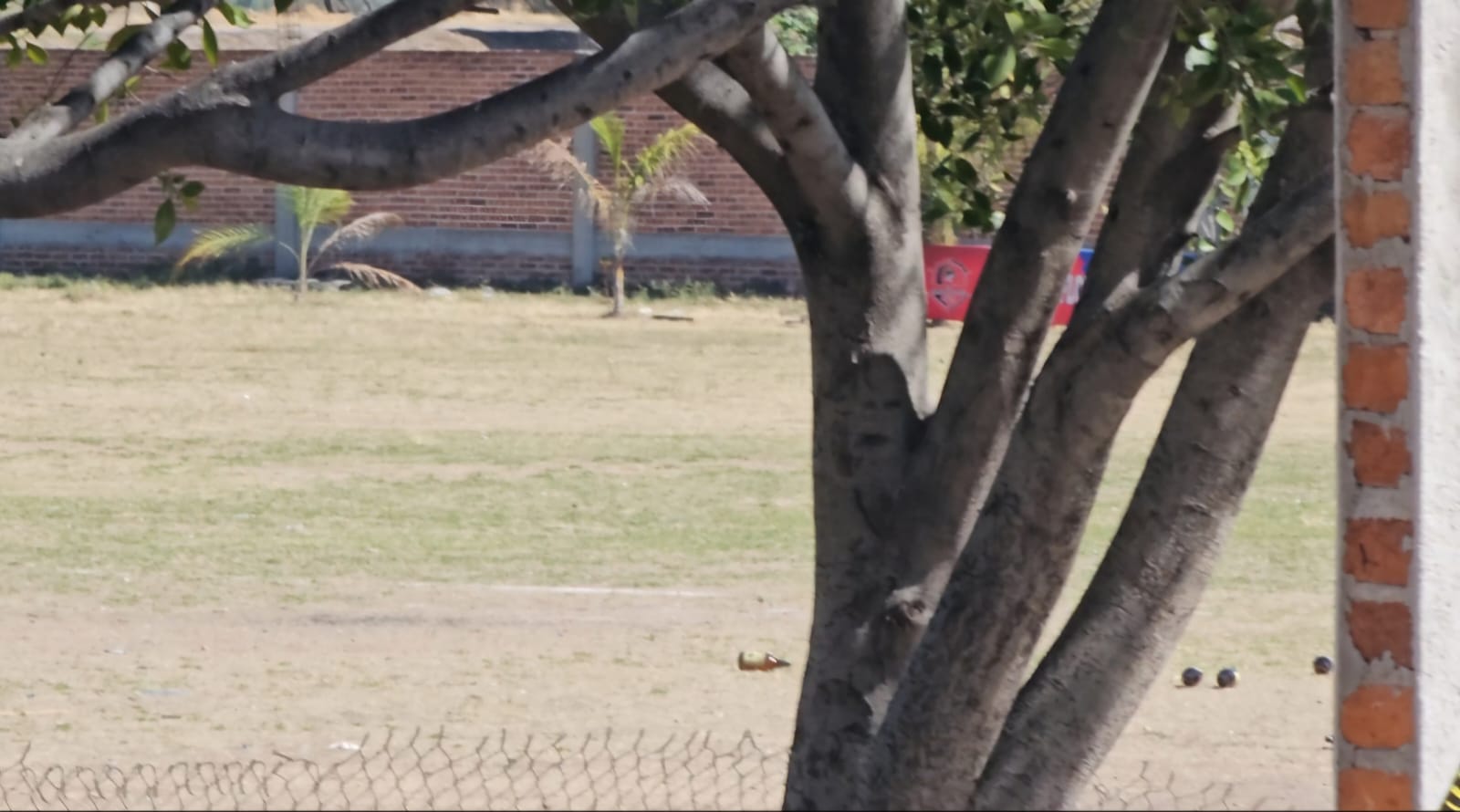 En diversos municipios de #Guanajuato han pausado los torneos de fútbol tras hecho violento en #Salamanca