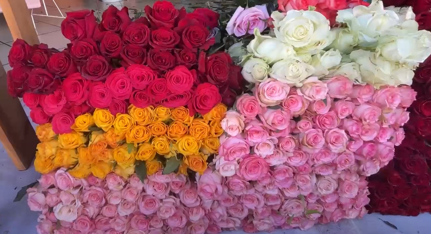 Incremento en el costo de la flor, eleva precios de los regalos de San Valentín para los salmantinos