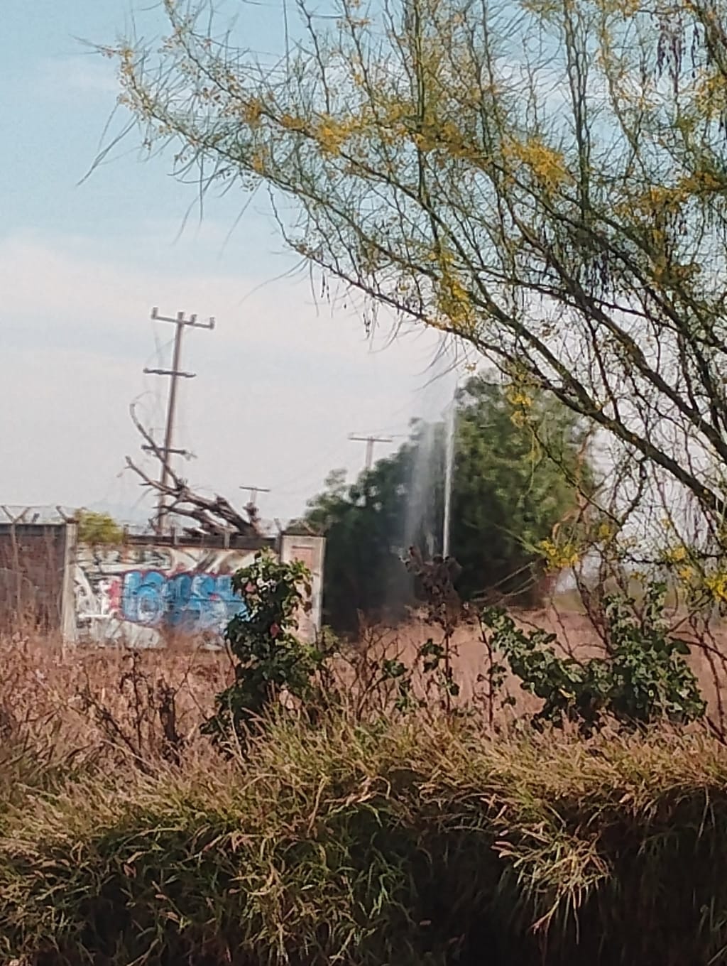 #Salamanca Vecinos reportan fuga en la colonia Barlovento, ni constructora ni CMAPAS se han hecho responsables