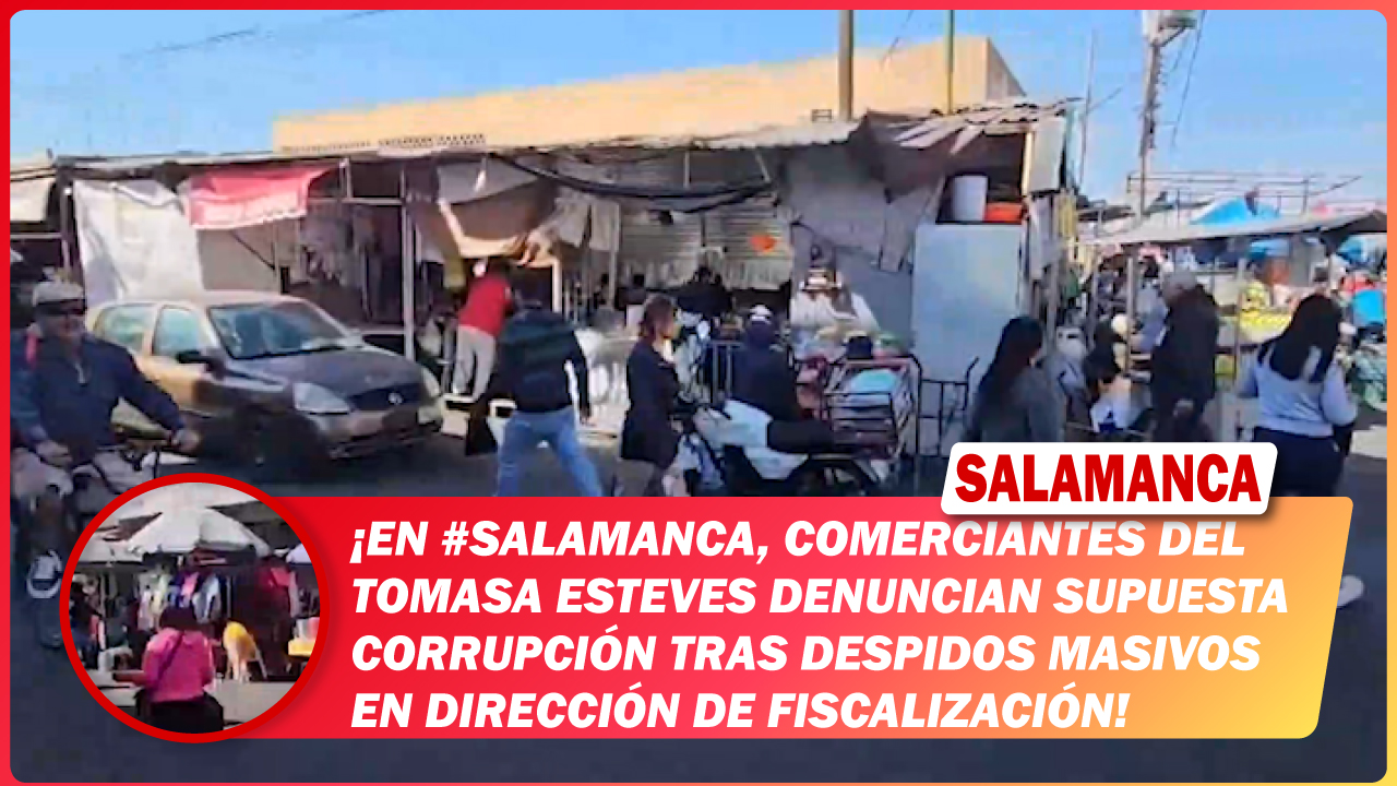 En #Salamanca, comerciantes del Tomasa Esteves denuncian supuesta corrupción tras despidos masivos en dirección de Fiscalización