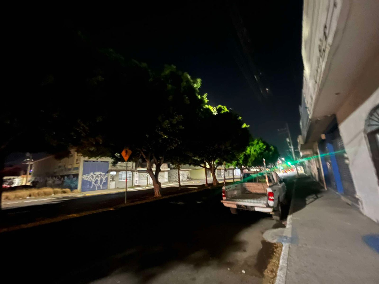 Vecinos de la calle Obregón Sur, solicitan la poda de árboles que cubren el alumbrado público