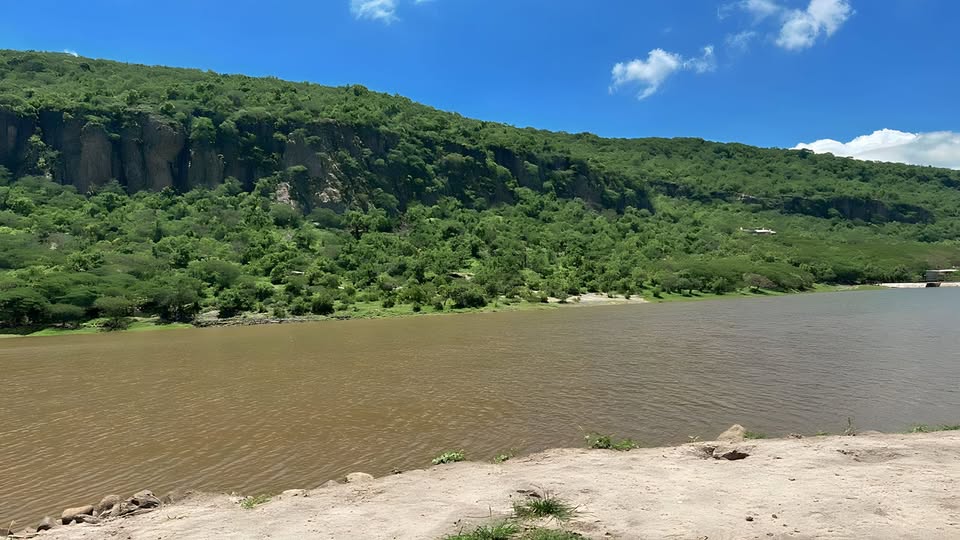 LLEGA LA PRIMAVERA: HOY 20 DE MARZO SE REGISTRA EL EQUINOCCIO