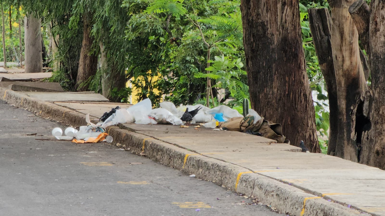 #Salamanca Vecinos exigen que comerciantes se lleven su basura cuando se retiren del tianguis de Nativitas