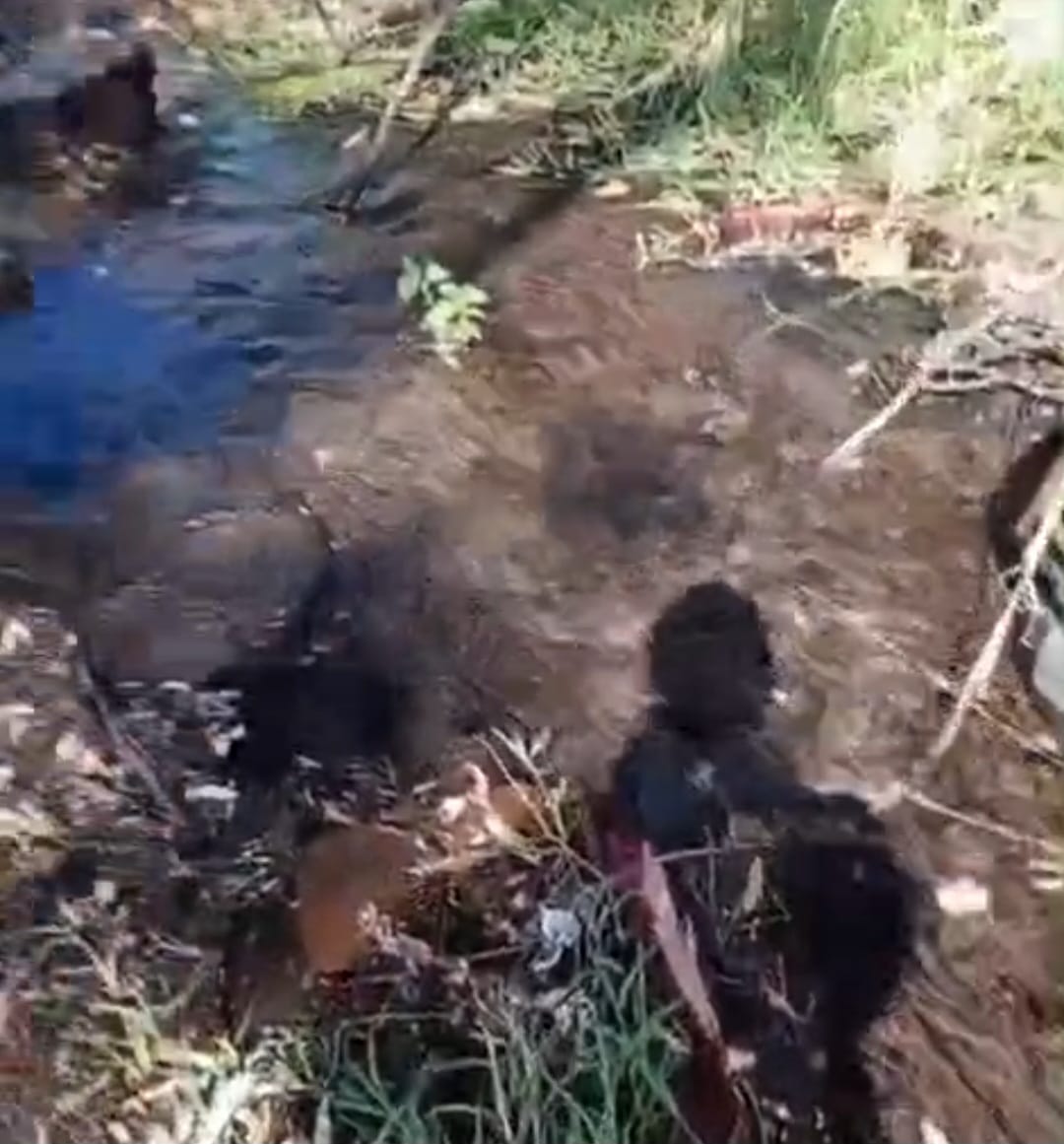 #Salamanca Vecinos denuncian que fugas de agua inundan la comunidad Albino García, pero CMAPAS no atiende reportes