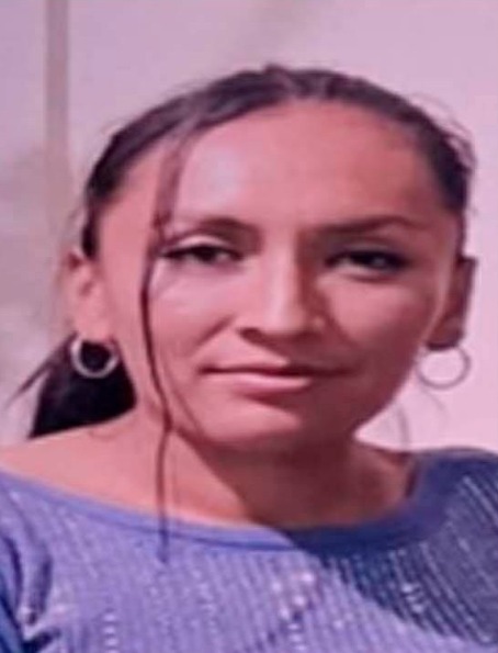 Desaparece en #Salamanca Esmeralda Domínguez. Van cerca de 10 hechos en lo que va de 2026, afirma director de Seguridad Pública