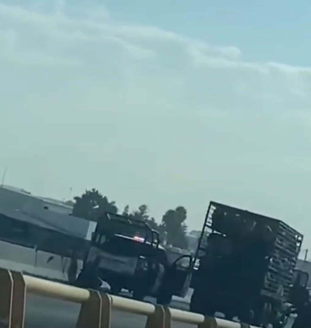 #Celaya Se querían robar un camión cargado de cerdos y provocan persecución y balacera en la Carretera Federal #45