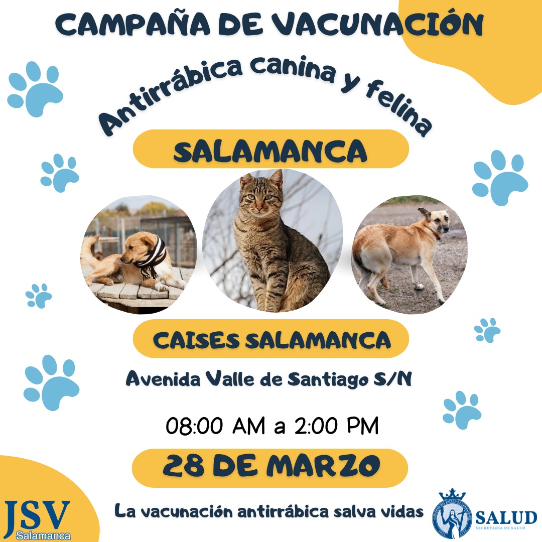 #Salamanca Este sábado se realizará jornada de vacunación antirrábica para proteger a perros y gatos