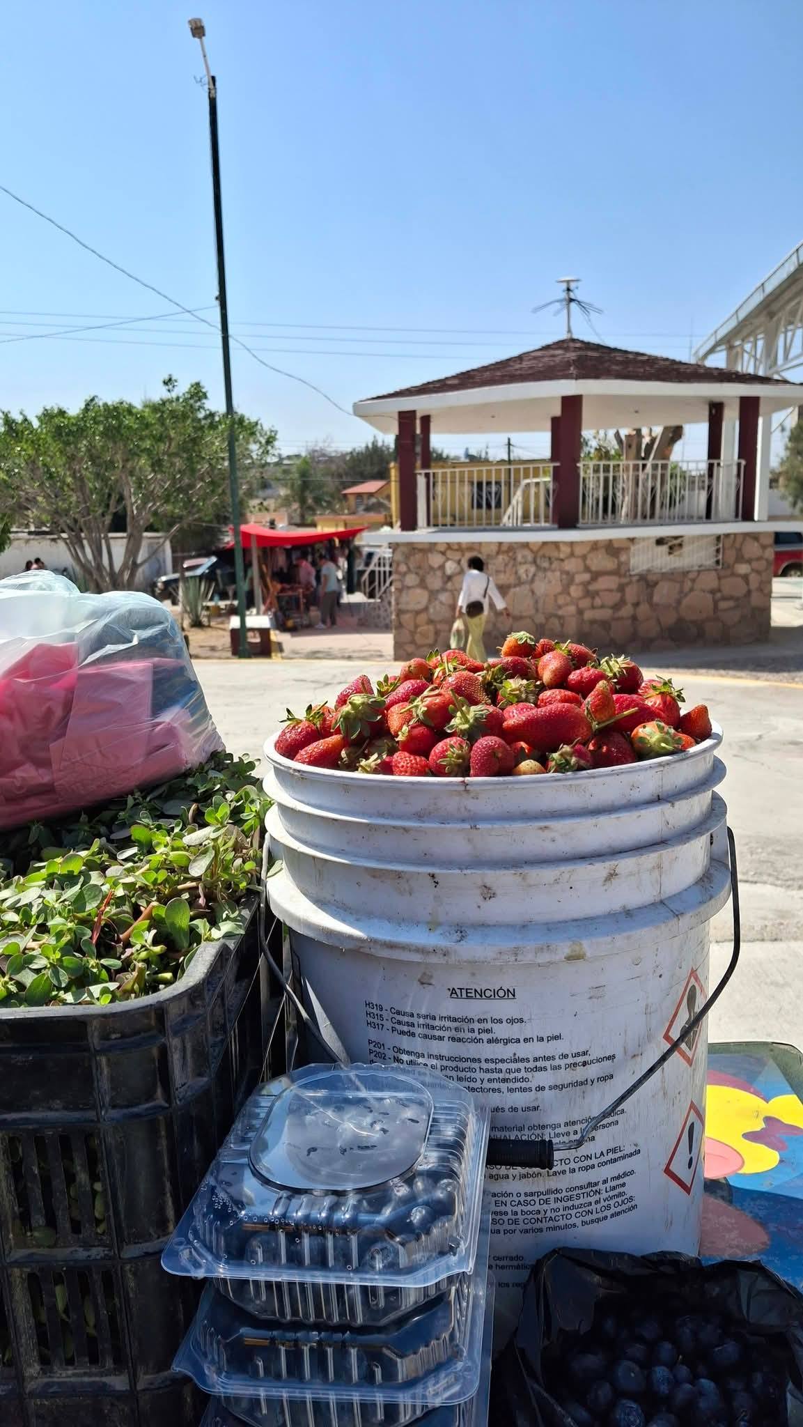 Comerciantes de San José de Mendoza llaman a apoyar el comercio local comprando productos frescos y de calidad