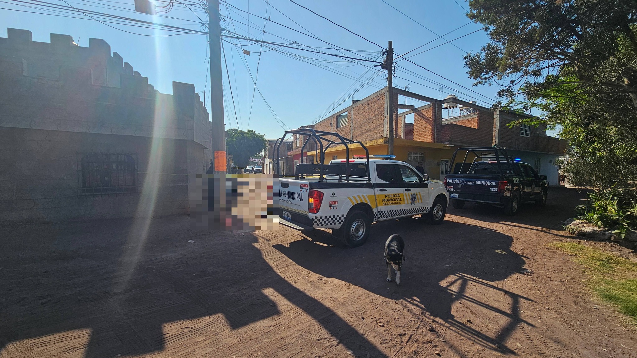 Localizan a hombre maniatado y con impactos de arma de fuego en comunidad de El Divisador #Salamanca