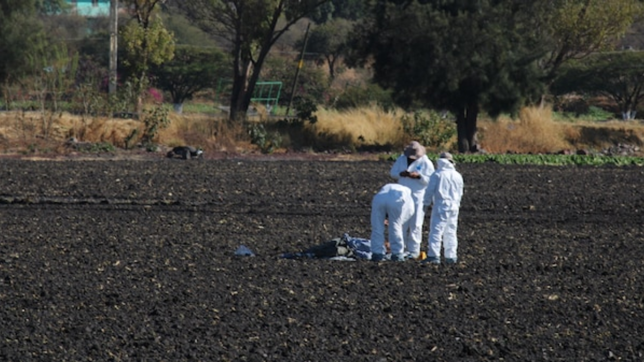 Colectivo Salamanca Unidos Buscando Desaparecidos localiza en #Cortazar horno con 19 cuerpos calcinados