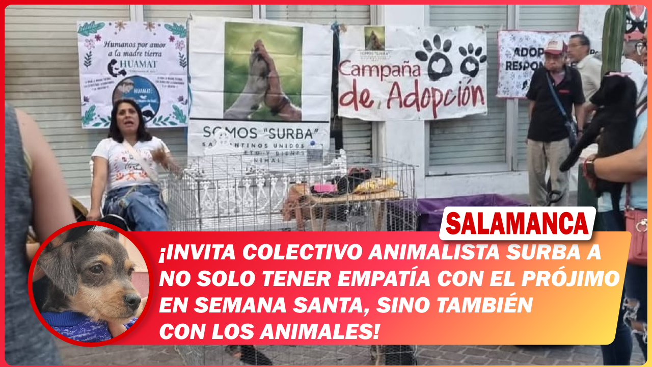#Salamanca Invita colectivo animalista SURBA a no solo tener empatía con el prójimo en Semana Santa, sino también con los animales