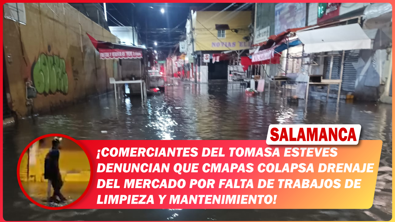 #Salamanca Comerciantes del Tomasa Esteves denuncian que CMAPAS colapsa drenaje del mercado por falta de trabajos de limpieza y mantenimiento