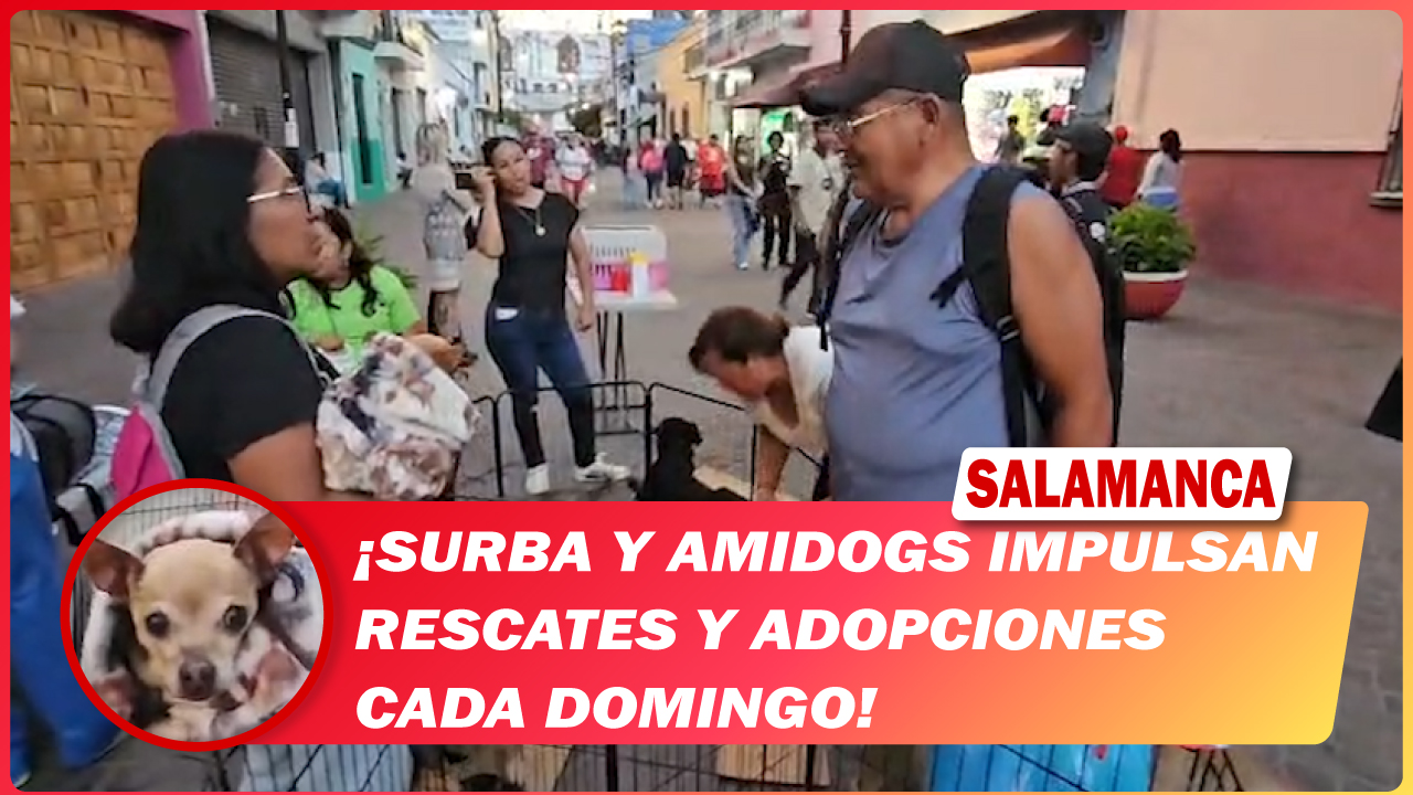 SURBA y AMIDOGS impulsan rescates y adopciones cada domingo en #Salamanca