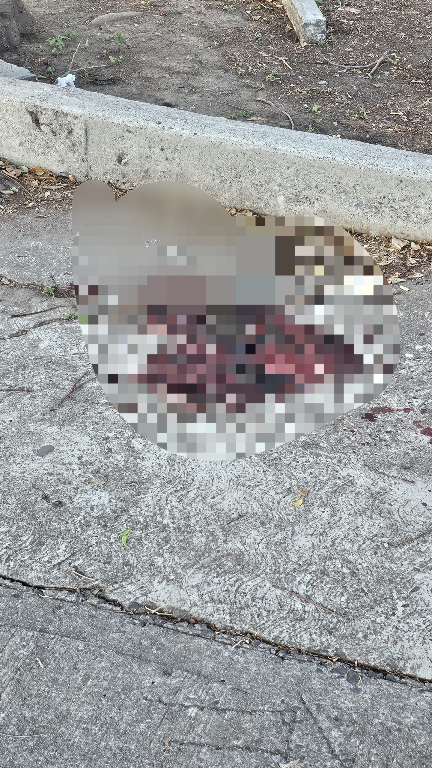 🔴 Asesinan a hombre en calle Agua Dulce de la colonia Bellavista #Salamanca