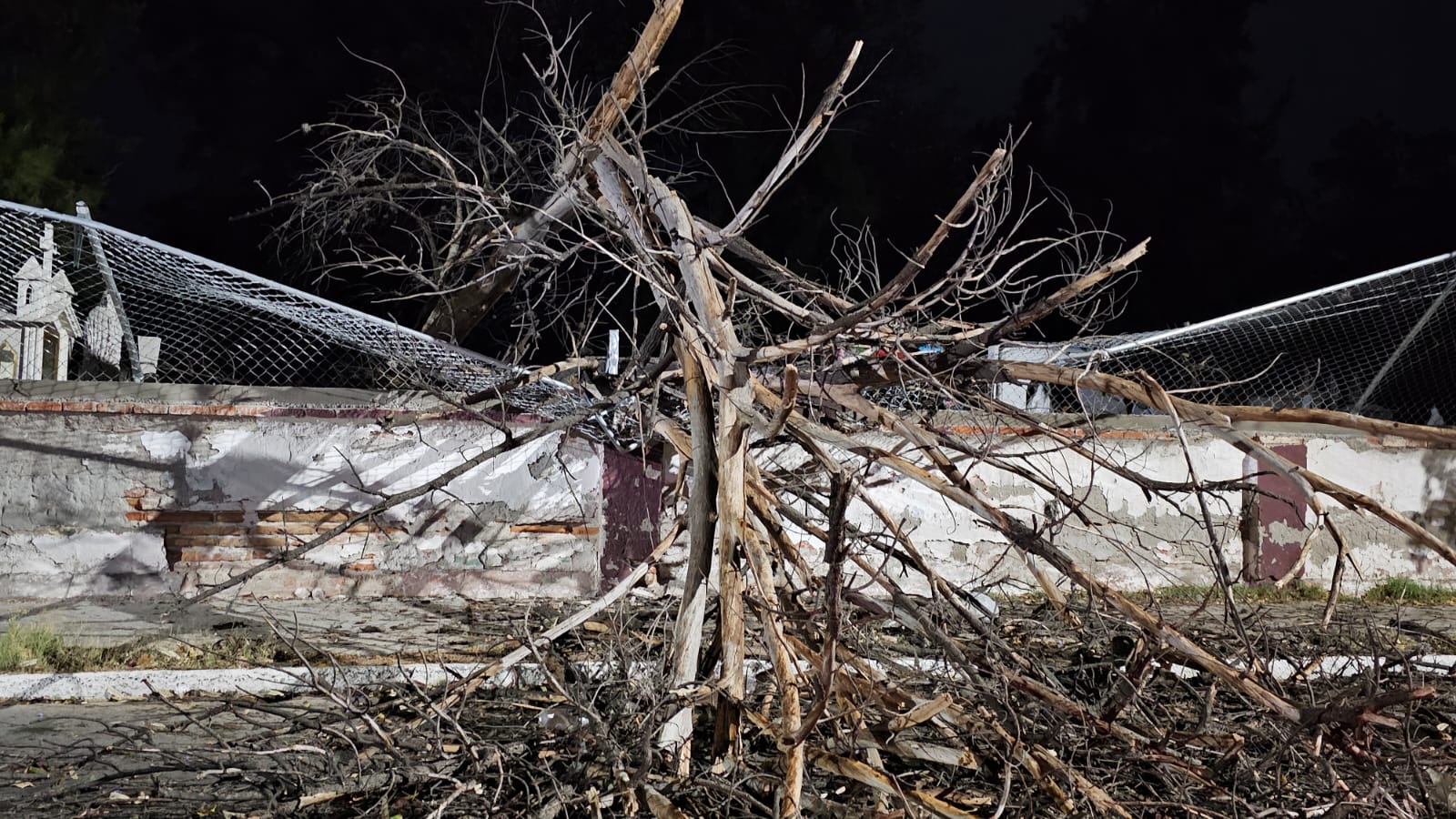 Vientos fuertes en #Salamanca dejaron al menos 5 árboles caídos y daños en espacios públicos