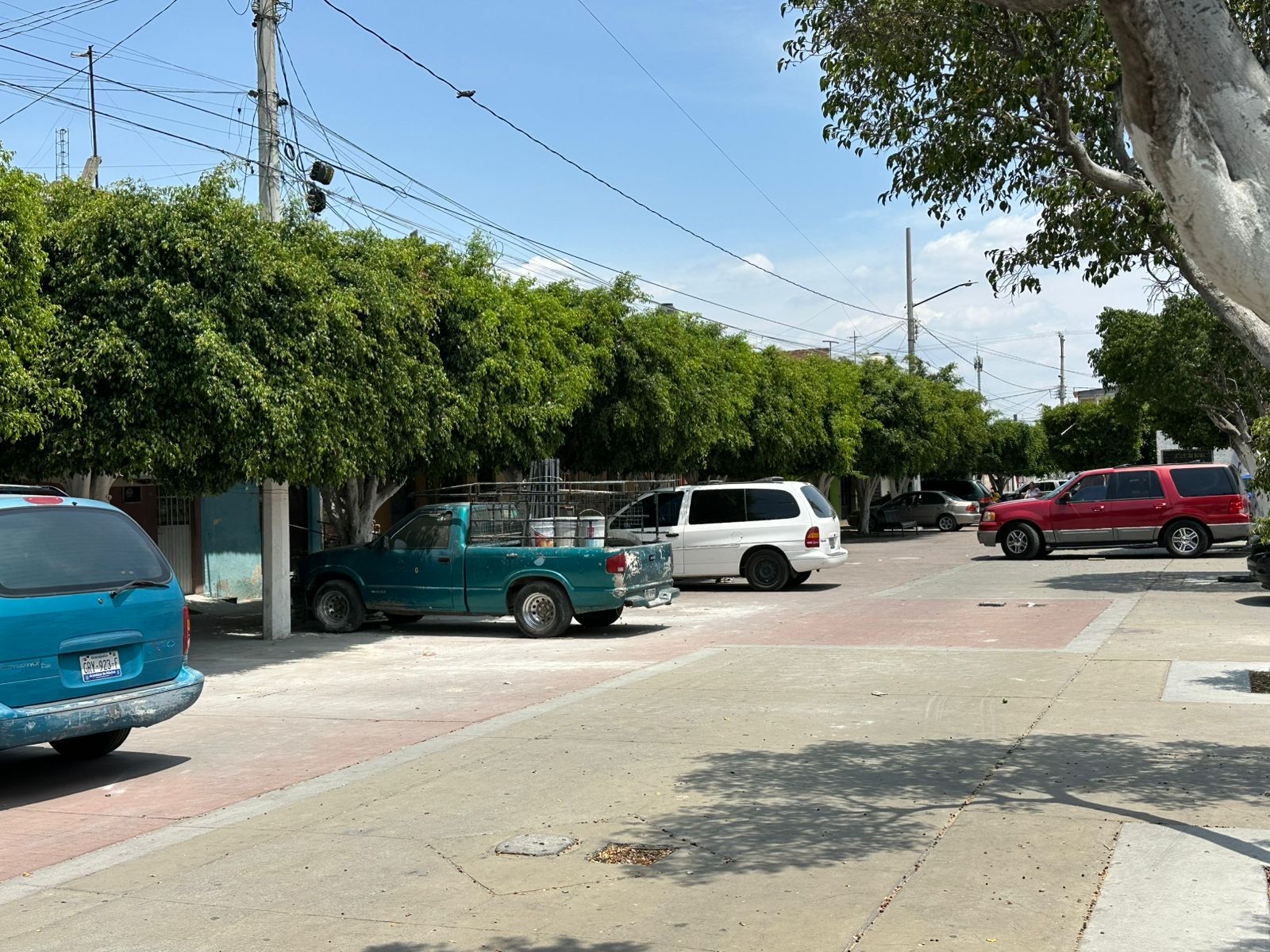 Vecinos de Nativitas, en #Salamanca, piden mantenimiento urgente a árboles del jardín de la colonia