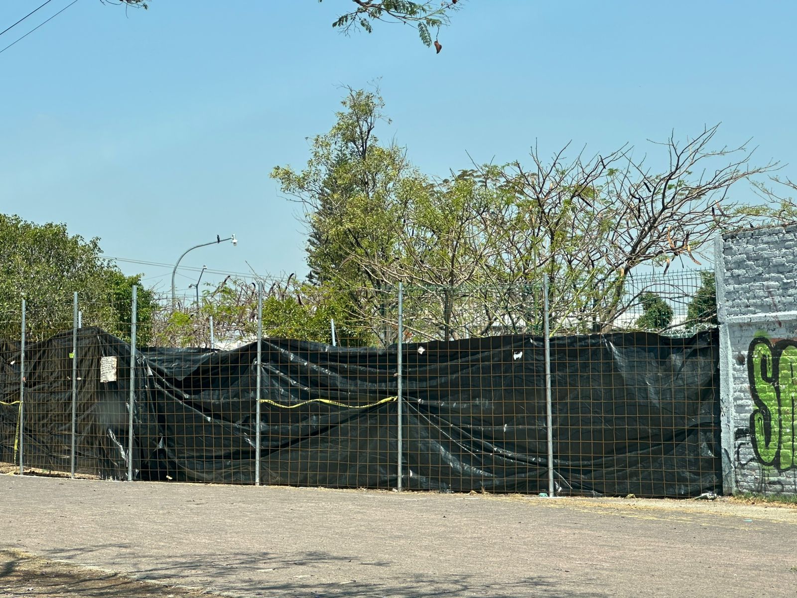 Retiro de árboles en parque Albino García, preocupa a vecinos de la colonia Infonavit 1 por posible impacto ambiental