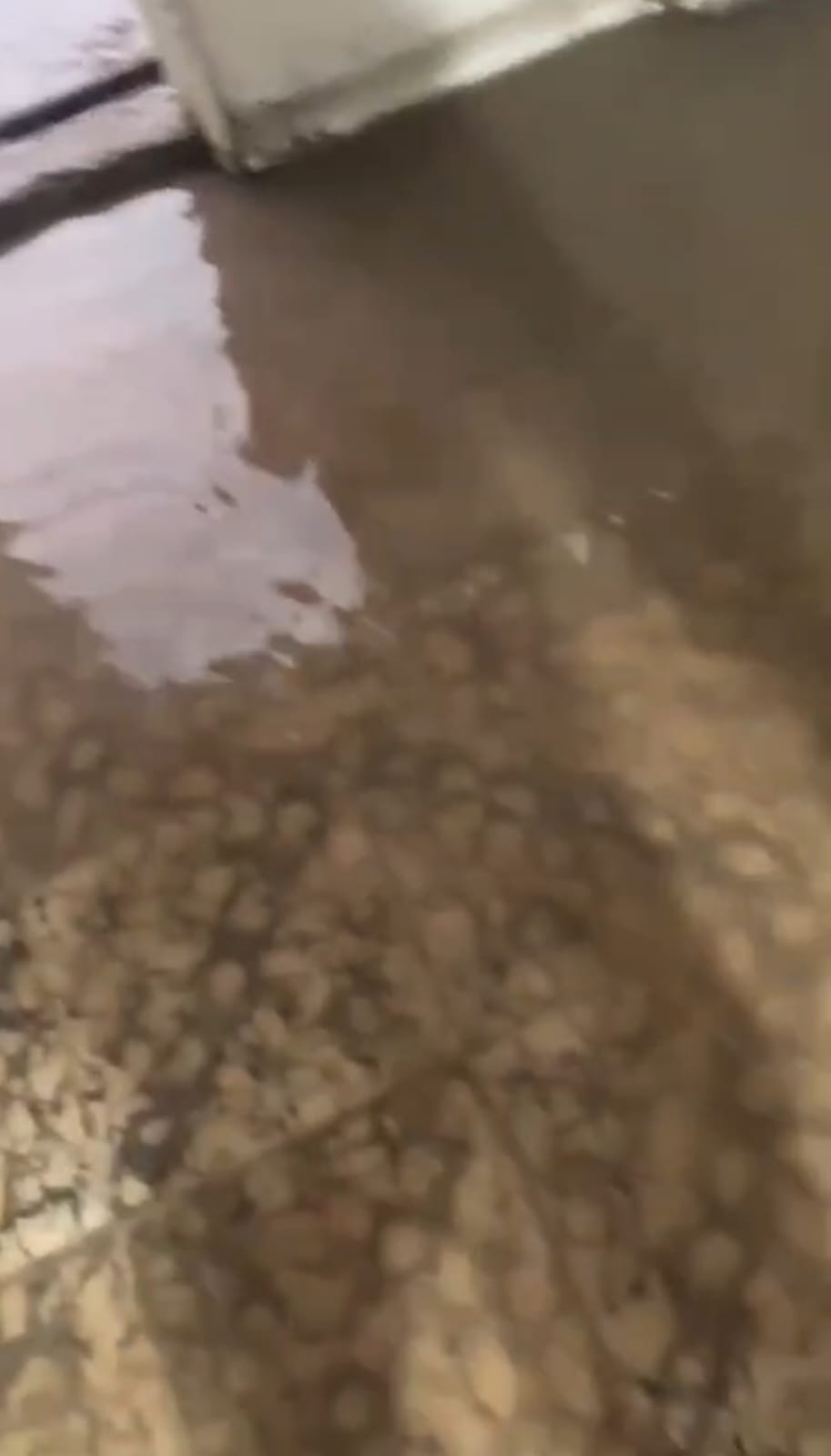 #Salamanca Vecinos de la Privada Arnulfo Delgado exigen pavimentación ante constantes inundaciones