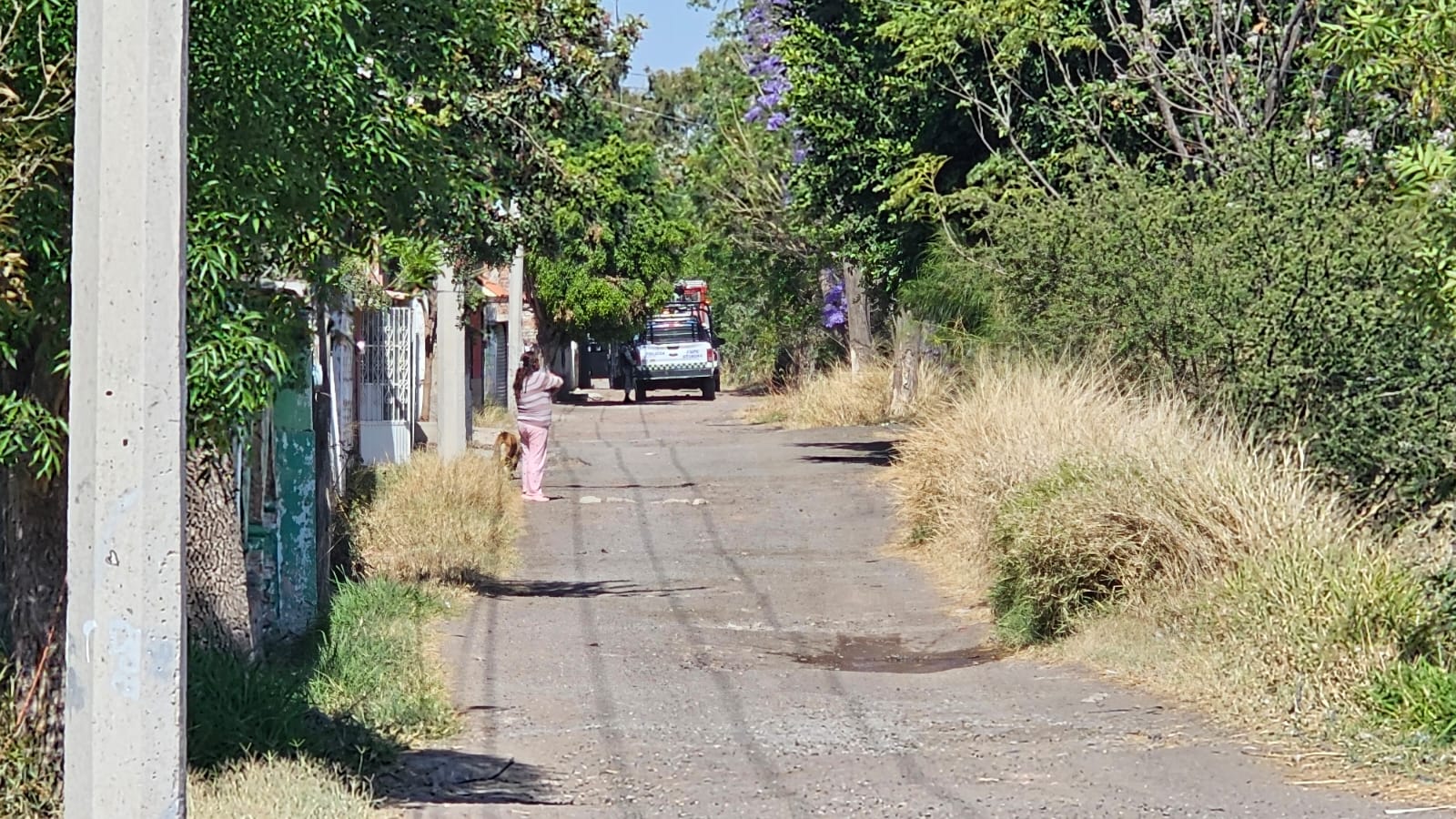 Agricultores de #Salamanca denuncian inseguridad en caminos rurales, aseguran que seis productores han sido secuestrados y solo dos han regresado con sus familias