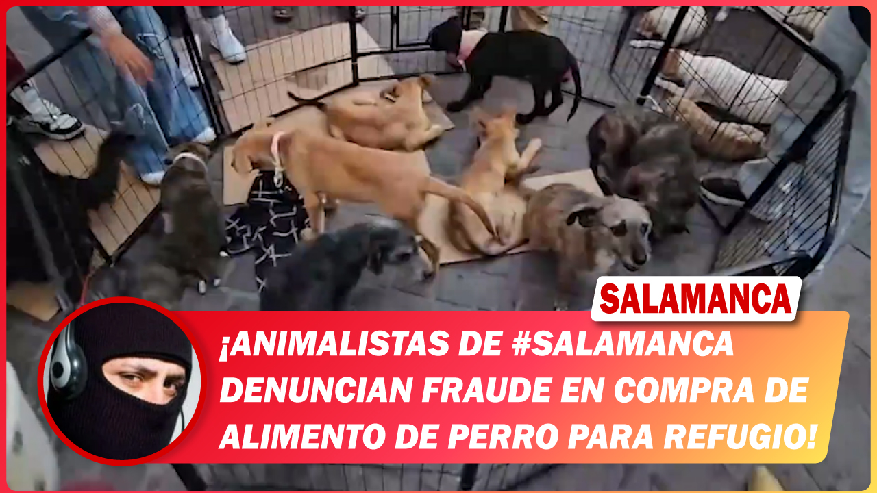 Animalistas de #Salamanca denuncian fraude en compra de alimento de perro para refugio