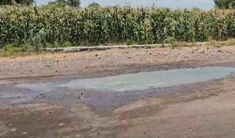 Vecinos temen que por el mal estado del drenaje se metan aguas negras con heces fecales a sus casas en Loma de Flores y Santiaguillo de García