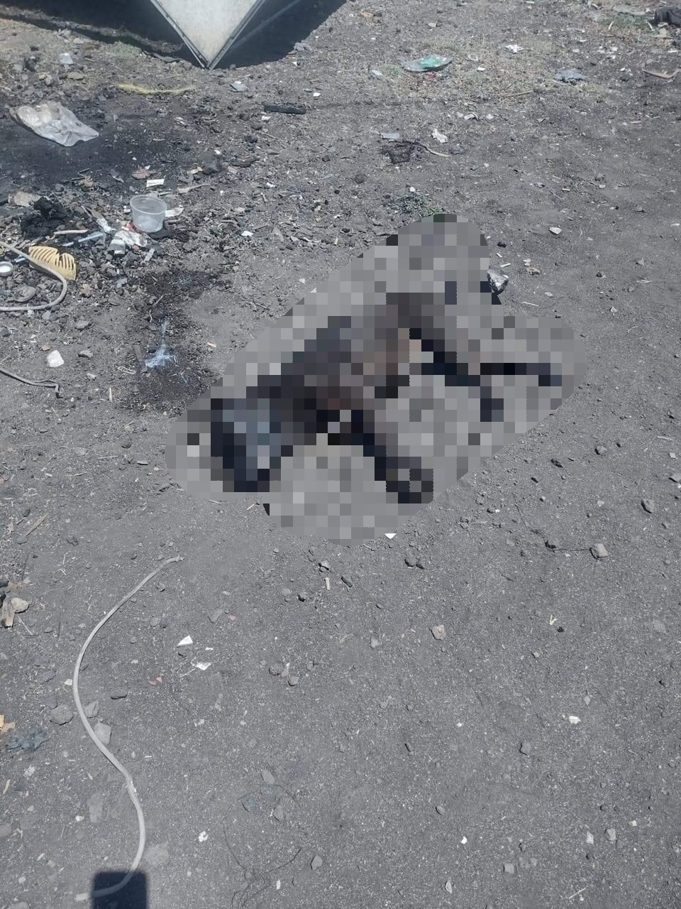 #Salamanca «Los tiran al relleno como si fueran basura» denuncian presuntos protocolos erróneos de las autoridades ante mascotas domesticas muertas en la vía pública