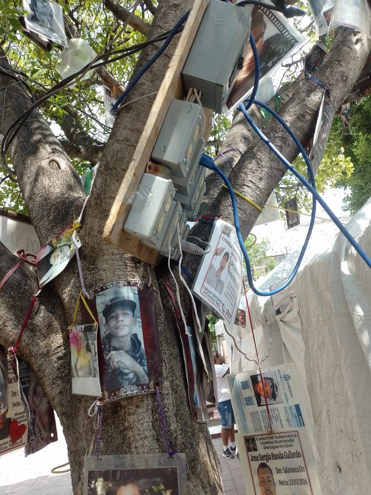 #Salamanca Denuncian que el Árbol de la Esperanza está convertido en “diablito clandestino”