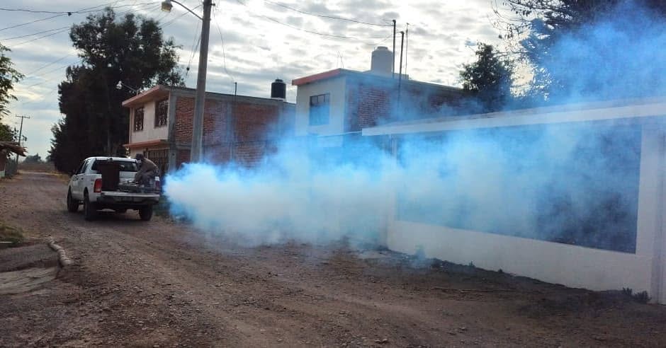 Las lluvias desatan plaga de mosquitos en #Salamanca, autoridades sanitarias trabajan en campaña contra el dengue, zika y chikungunya
