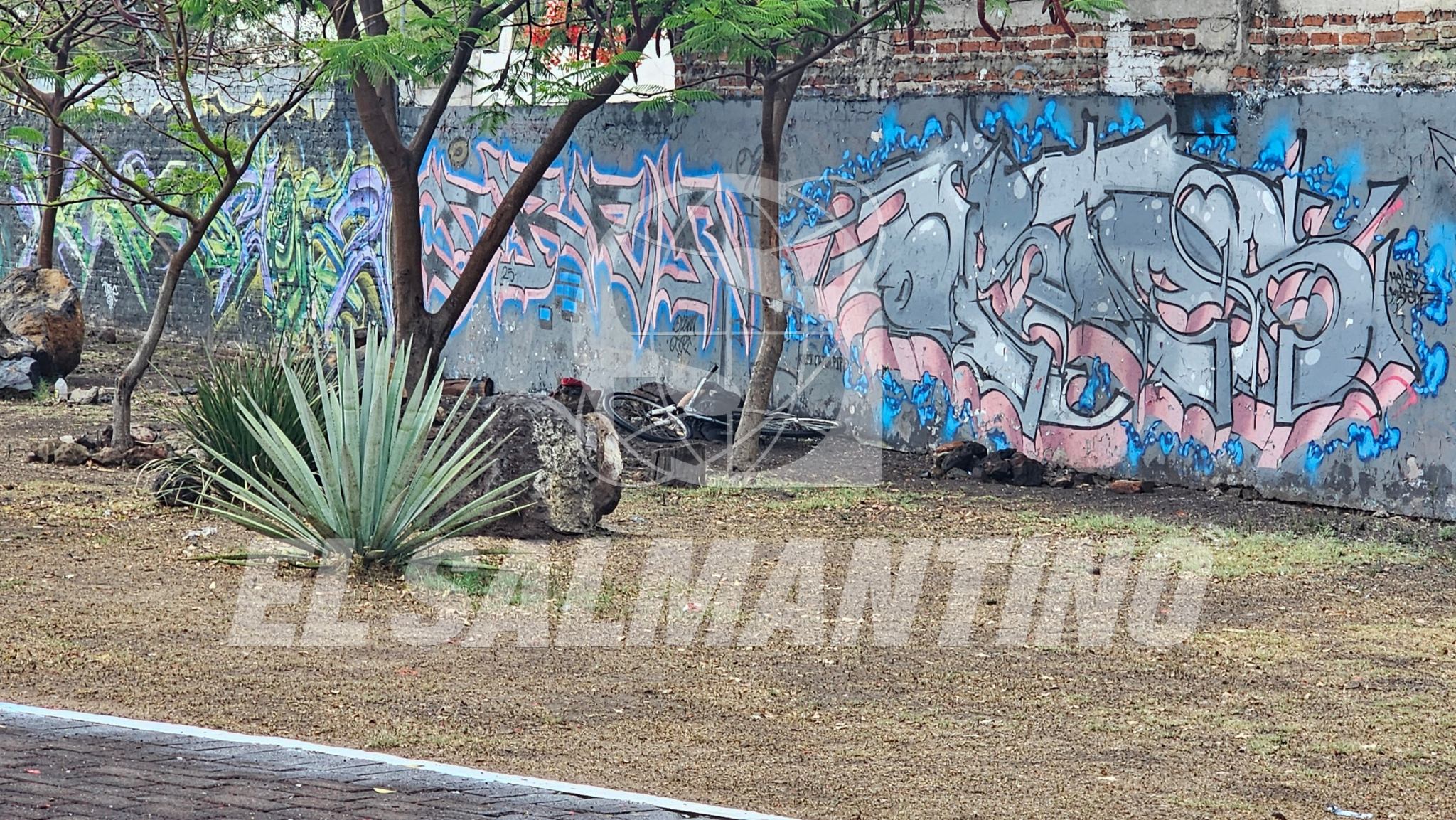 🔴 Asesinan a hombre en el jardín Albino García de #Salamanca