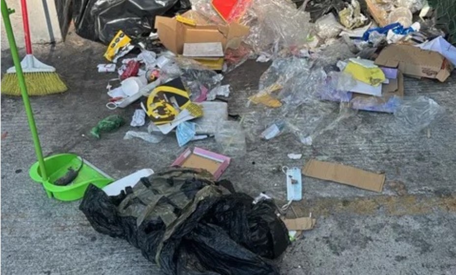 Exponen presunta plaga de roedores en una tienda de descuentos ubicada en Faja de Oro, #Salamanca